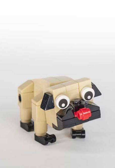 Hovedbilde Pug Playland