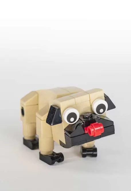 Hovedbilde Pug Playland